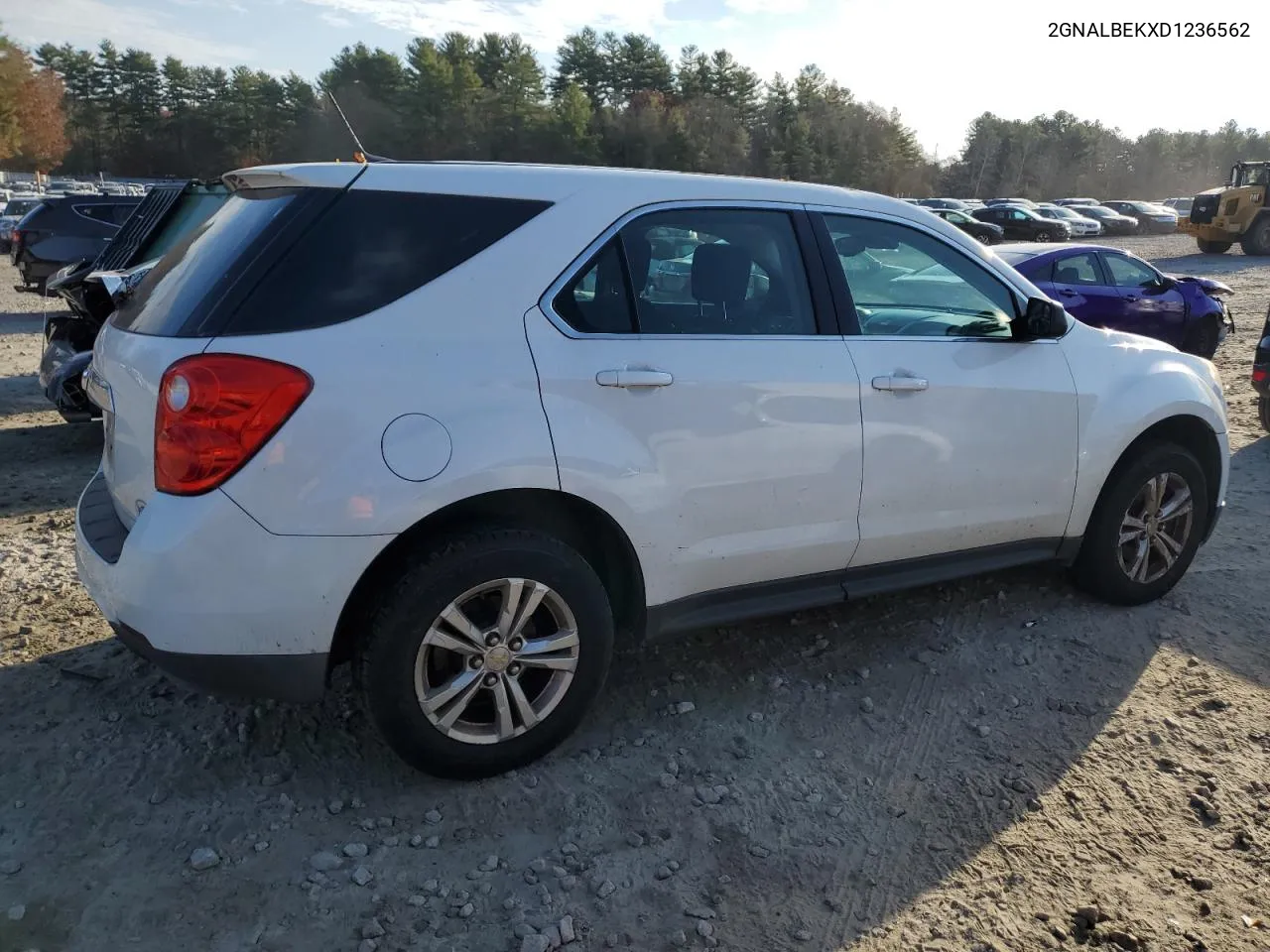 2013 Chevrolet Equinox Ls VIN: 2GNALBEKXD1236562 Lot: 79397874