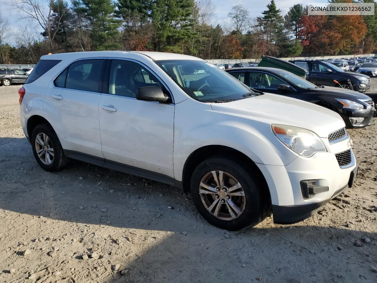 2013 Chevrolet Equinox Ls VIN: 2GNALBEKXD1236562 Lot: 79397874