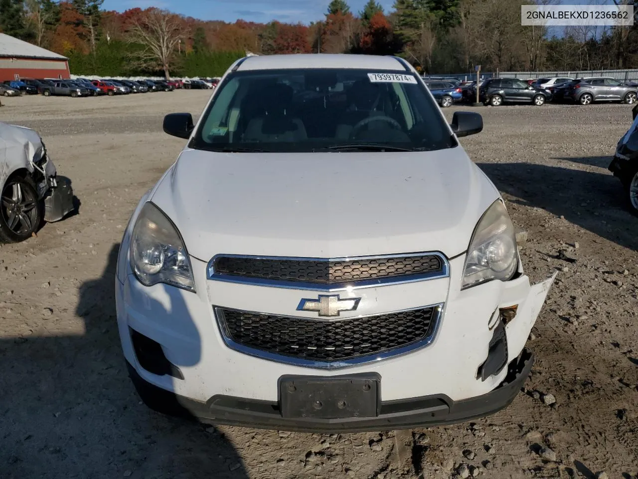 2013 Chevrolet Equinox Ls VIN: 2GNALBEKXD1236562 Lot: 79397874