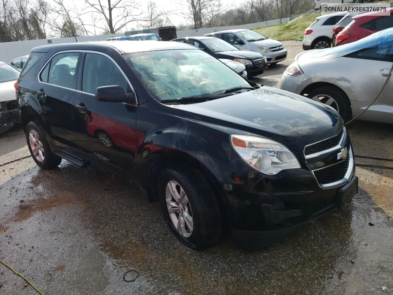 2014 Chevrolet Equinox Ls VIN: 2GNALAEK9E6376875 Lot: 46342553