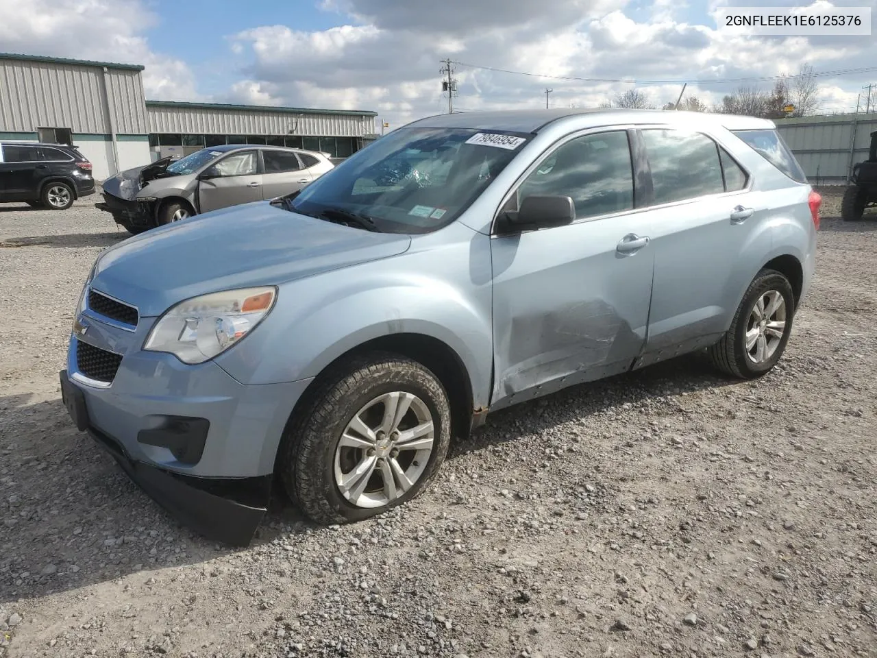 2014 Chevrolet Equinox Ls VIN: 2GNFLEEK1E6125376 Lot: 79846954