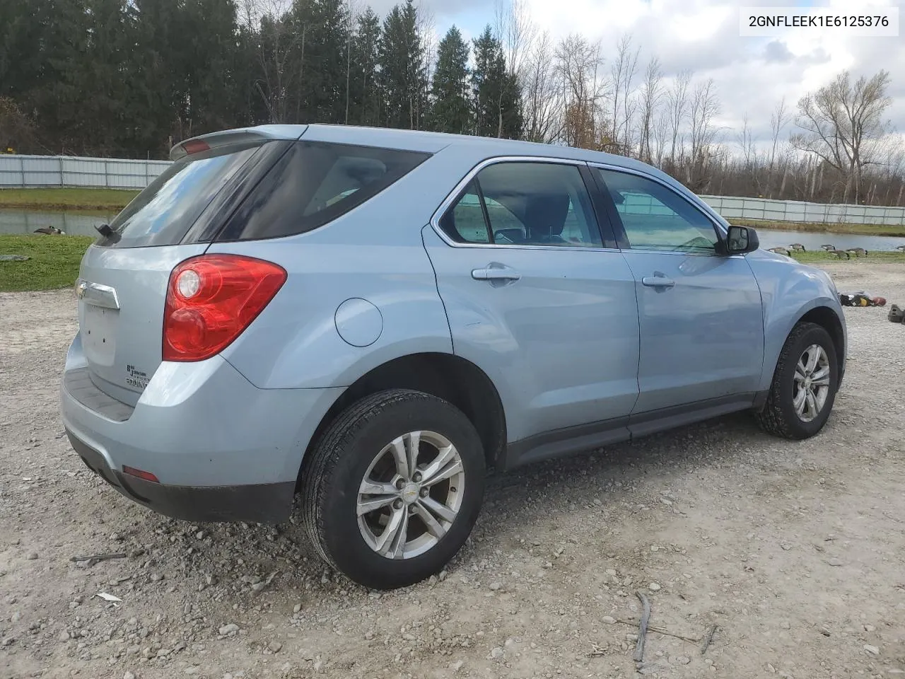 2014 Chevrolet Equinox Ls VIN: 2GNFLEEK1E6125376 Lot: 79846954