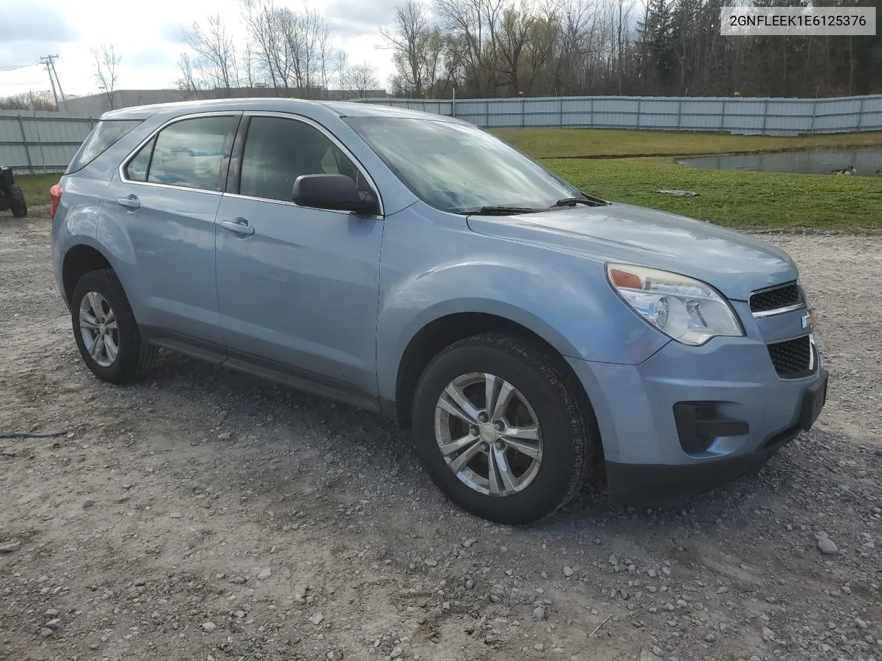 2014 Chevrolet Equinox Ls VIN: 2GNFLEEK1E6125376 Lot: 79846954