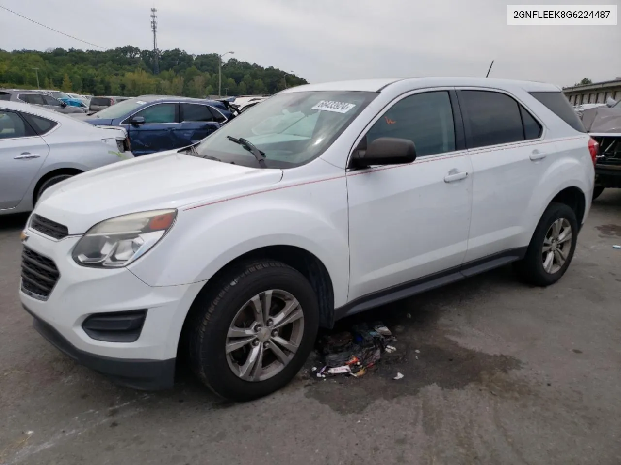 2016 Chevrolet Equinox Ls VIN: 2GNFLEEK8G6224487 Lot: 66433924