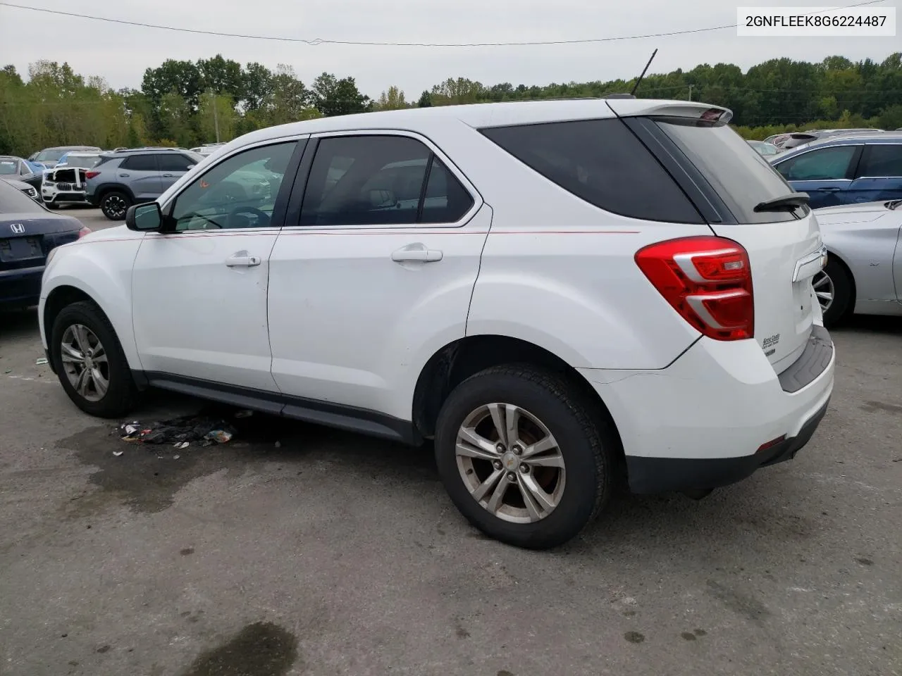 2016 Chevrolet Equinox Ls VIN: 2GNFLEEK8G6224487 Lot: 66433924