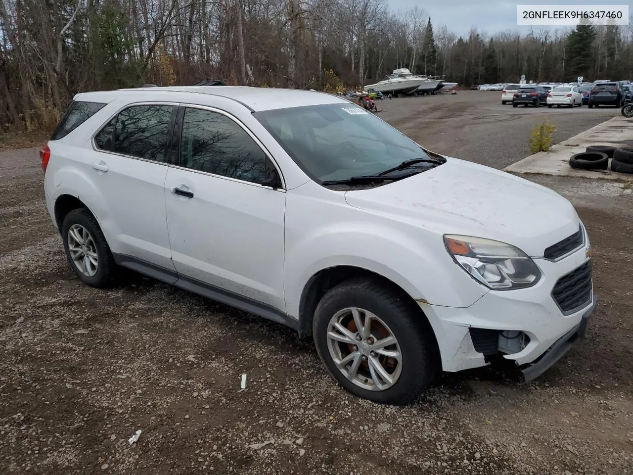 2017 Chevrolet Equinox Ls VIN: 2GNFLEEK9H6347460 Lot: 78827234