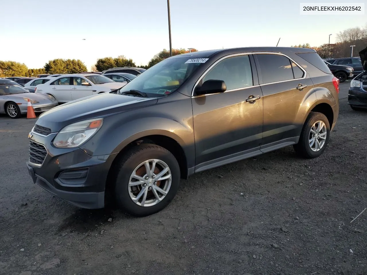 2017 Chevrolet Equinox Ls VIN: 2GNFLEEKXH6202542 Lot: 79508214