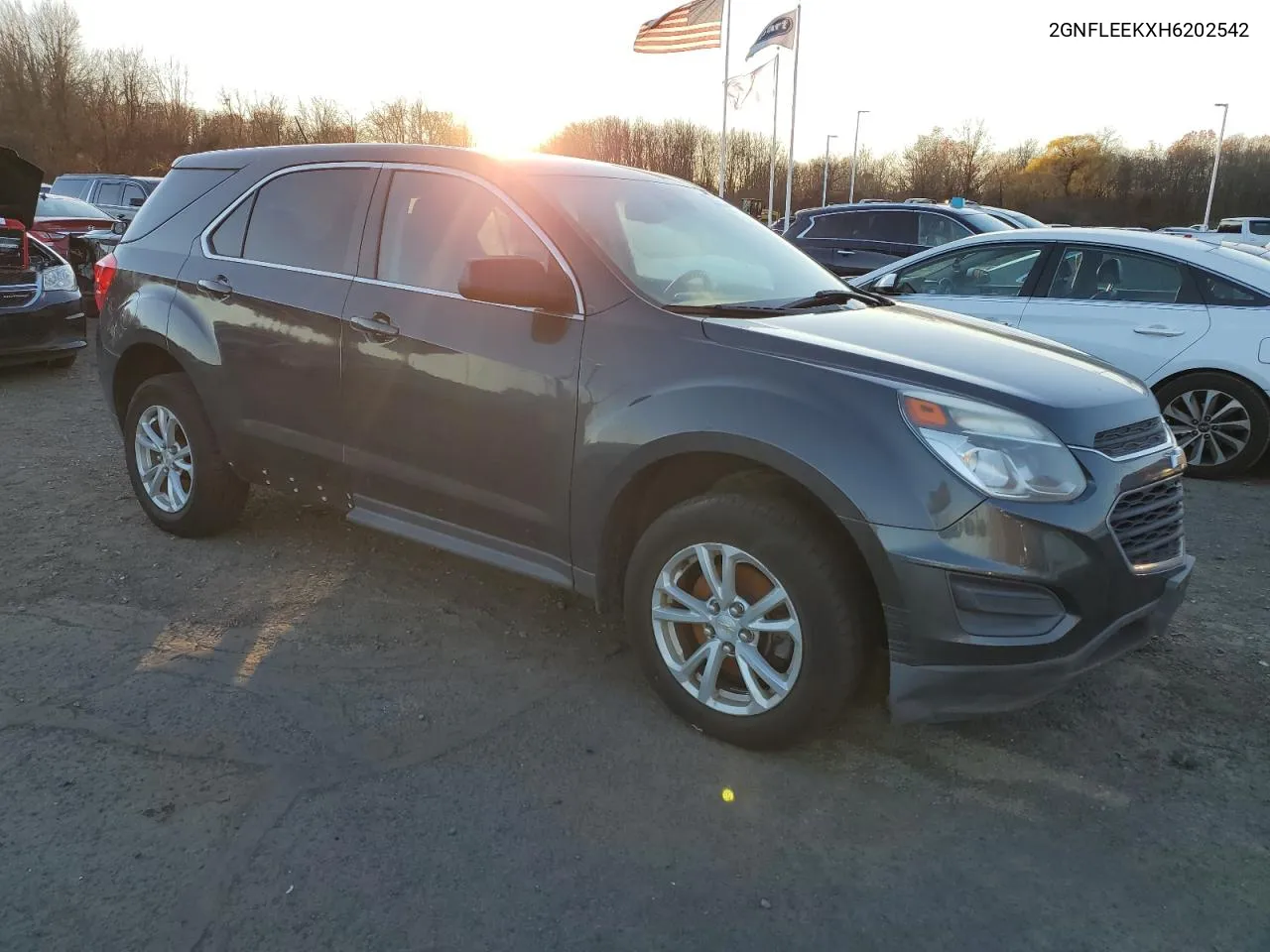 2017 Chevrolet Equinox Ls VIN: 2GNFLEEKXH6202542 Lot: 79508214