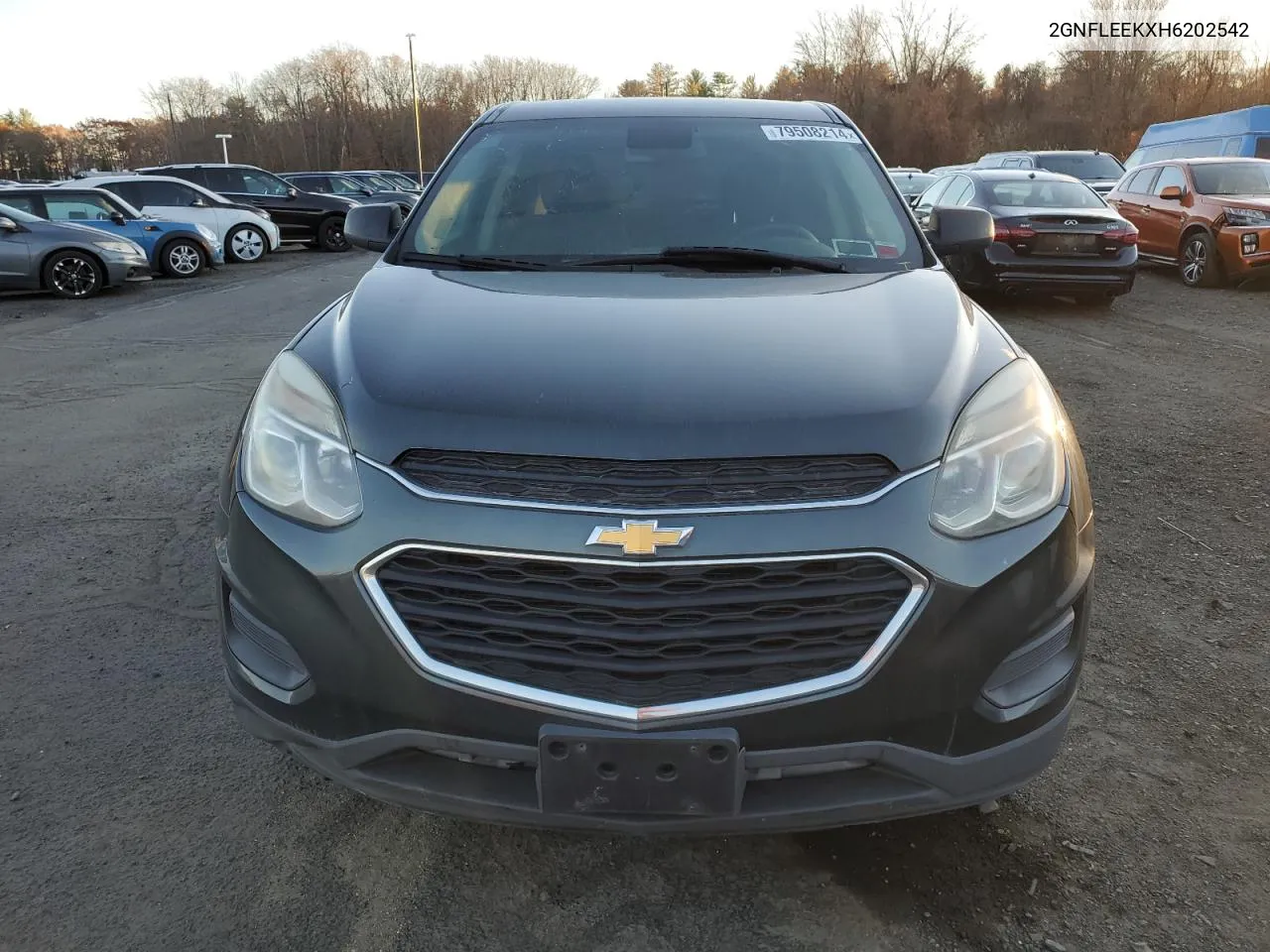 2017 Chevrolet Equinox Ls VIN: 2GNFLEEKXH6202542 Lot: 79508214