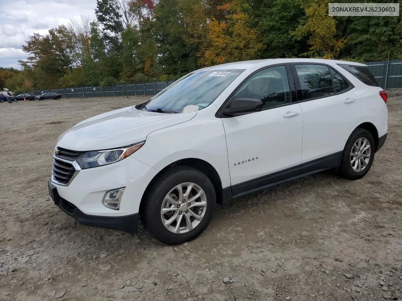 2018 Chevrolet Equinox Ls VIN: 2GNAXREV4J6230603 Lot: 73676544