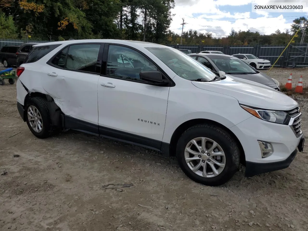 2018 Chevrolet Equinox Ls VIN: 2GNAXREV4J6230603 Lot: 73676544