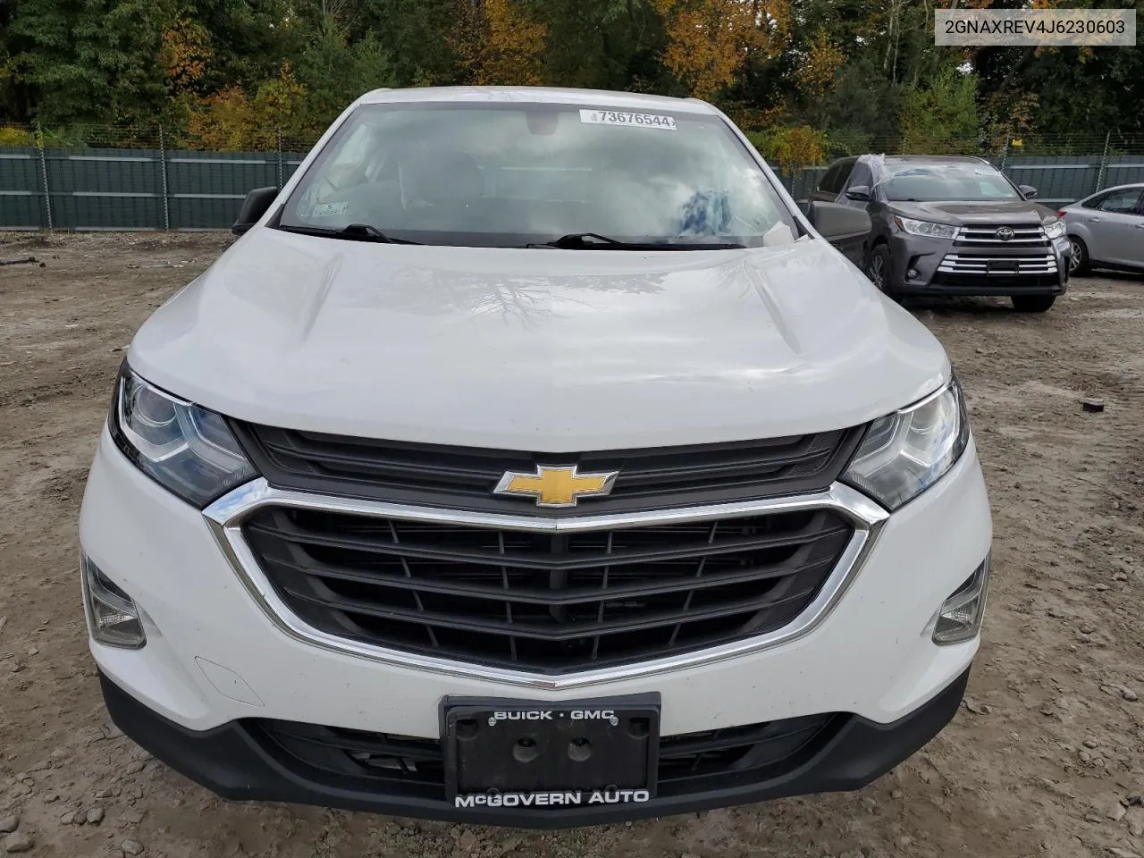 2018 Chevrolet Equinox Ls VIN: 2GNAXREV4J6230603 Lot: 73676544