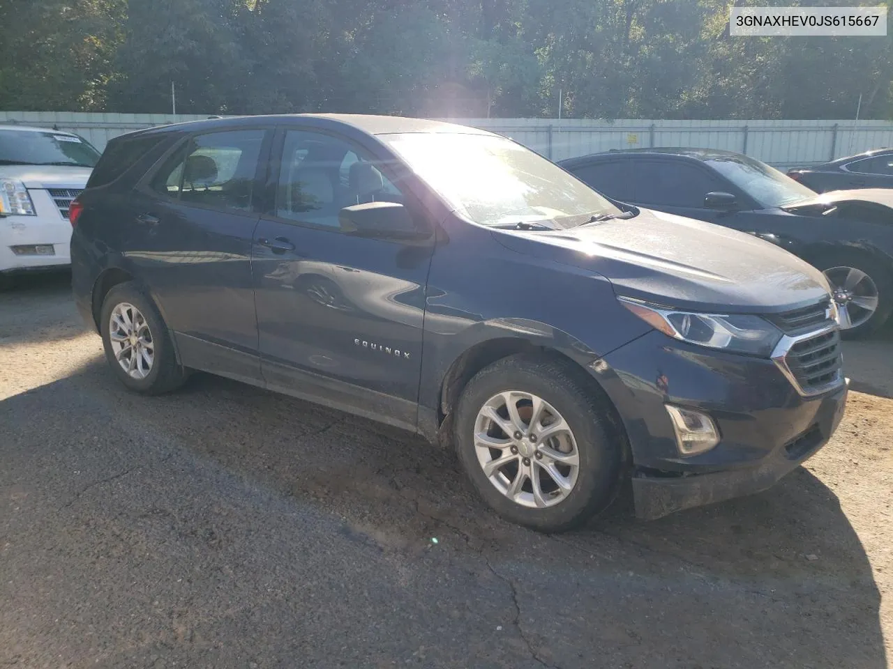 2018 Chevrolet Equinox Ls VIN: 3GNAXHEV0JS615667 Lot: 74128514