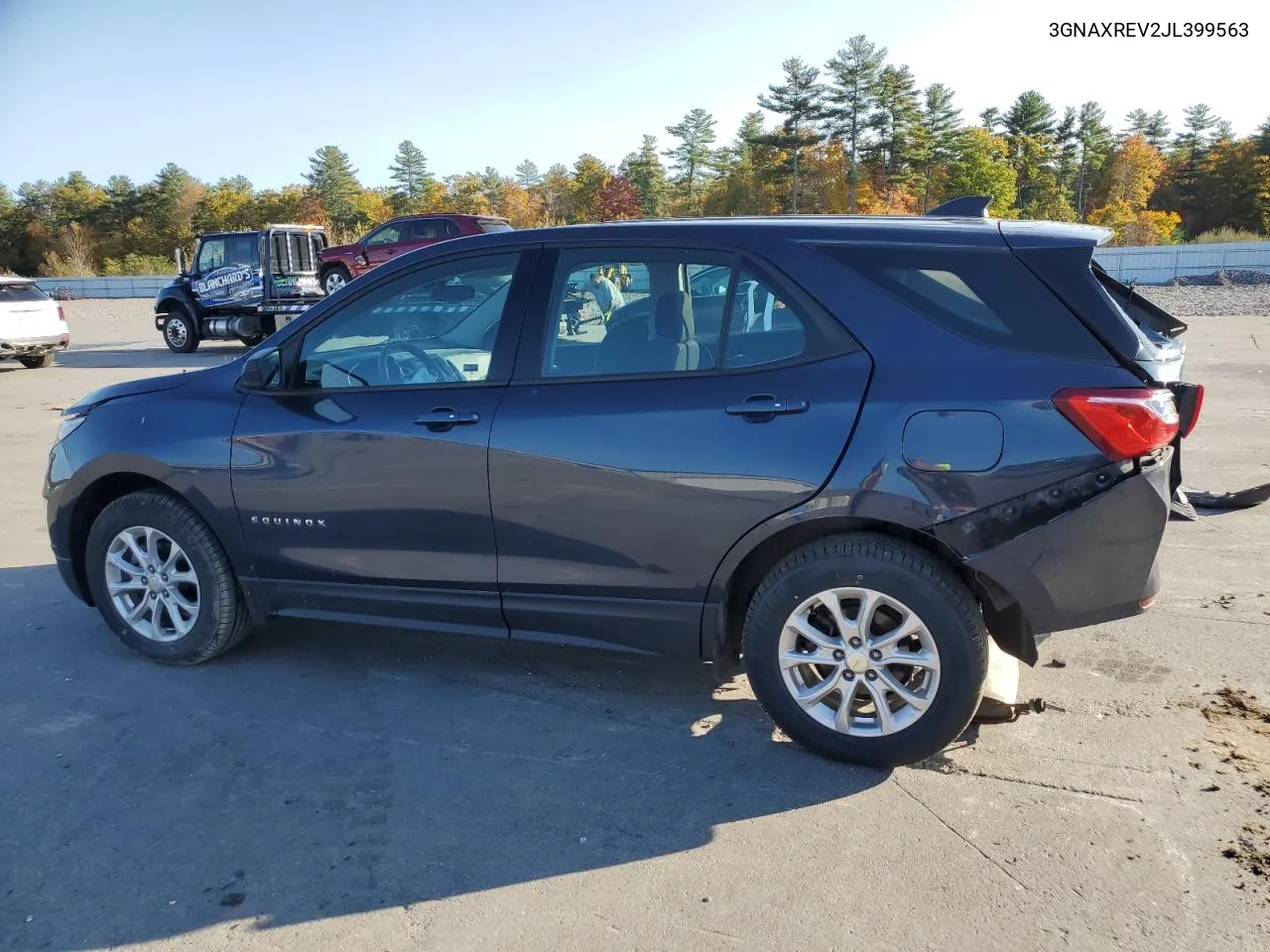 2018 Chevrolet Equinox Ls VIN: 3GNAXREV2JL399563 Lot: 76616424