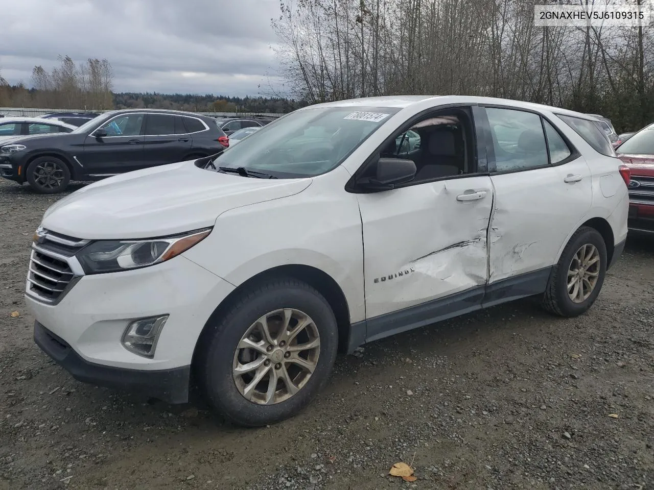 2018 Chevrolet Equinox Ls VIN: 2GNAXHEV5J6109315 Lot: 78081574