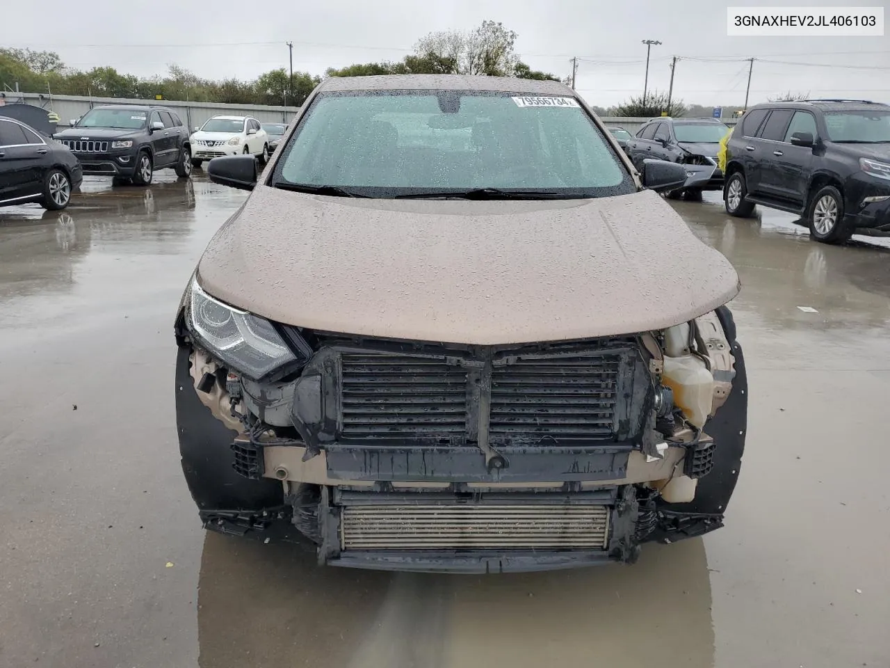 2018 Chevrolet Equinox Ls VIN: 3GNAXHEV2JL406103 Lot: 79566734