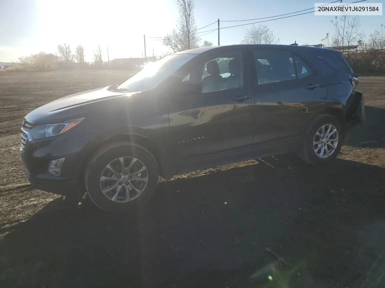 2018 Chevrolet Equinox Ls VIN: 2GNAXREV1J6291584 Lot: 79729034