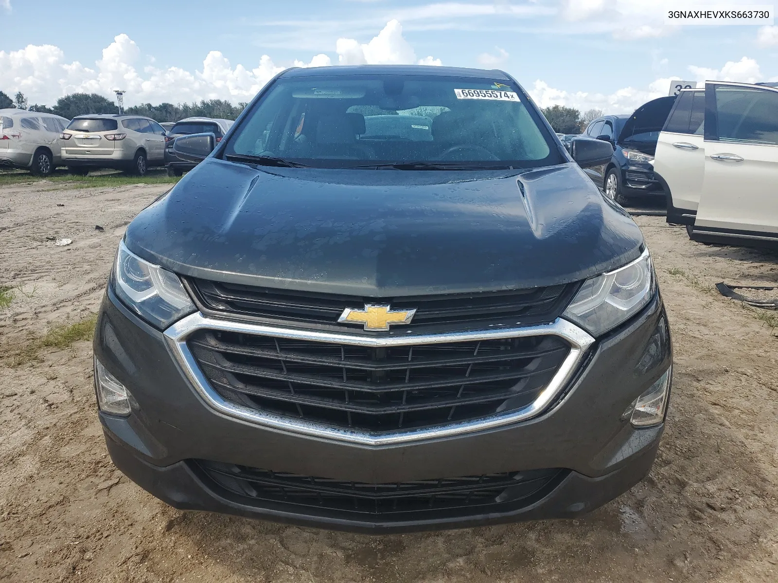 2019 Chevrolet Equinox Ls VIN: 3GNAXHEVXKS663730 Lot: 66955574