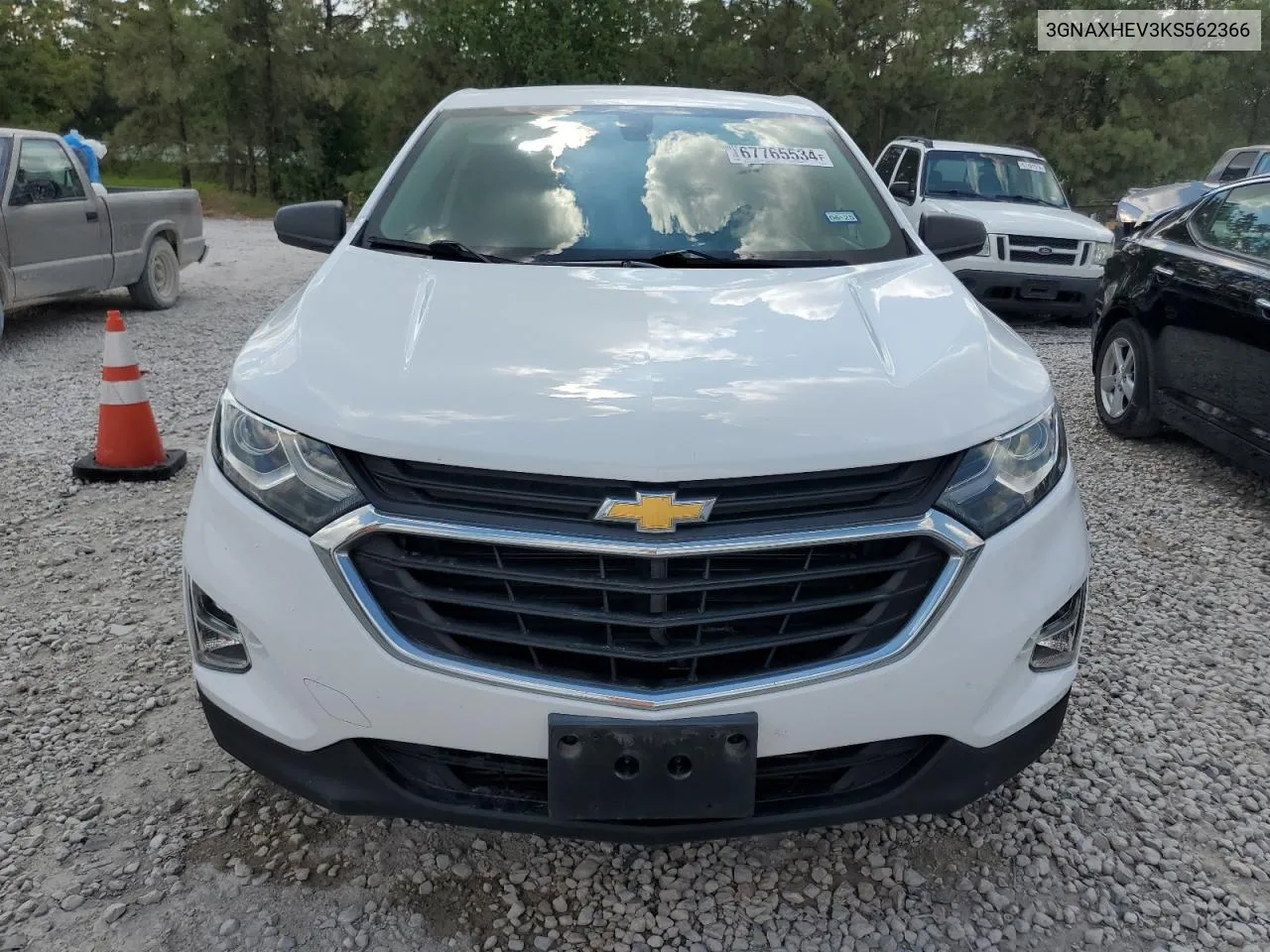 2019 Chevrolet Equinox Ls VIN: 3GNAXHEV3KS562366 Lot: 67765534