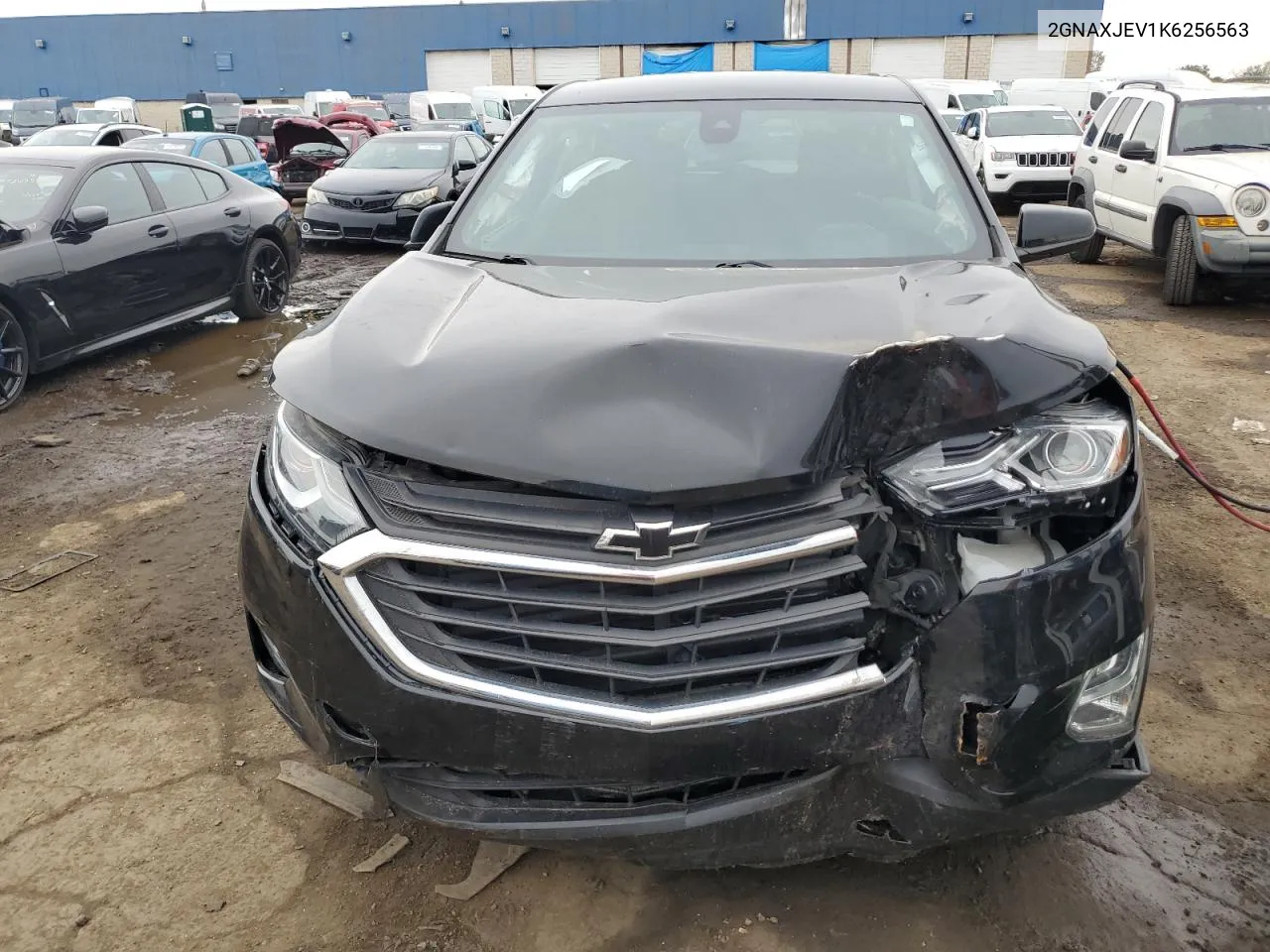 2019 Chevrolet Equinox Lt VIN: 2GNAXJEV1K6256563 Lot: 72619704