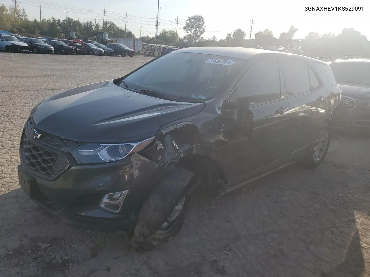 2019 Chevrolet Equinox Ls VIN: 3GNAXHEV1KS529091 Lot: 73596764