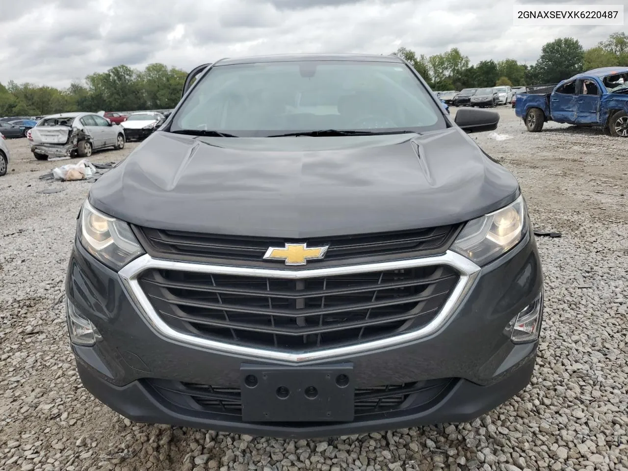 2019 Chevrolet Equinox Ls VIN: 2GNAXSEVXK6220487 Lot: 73857754