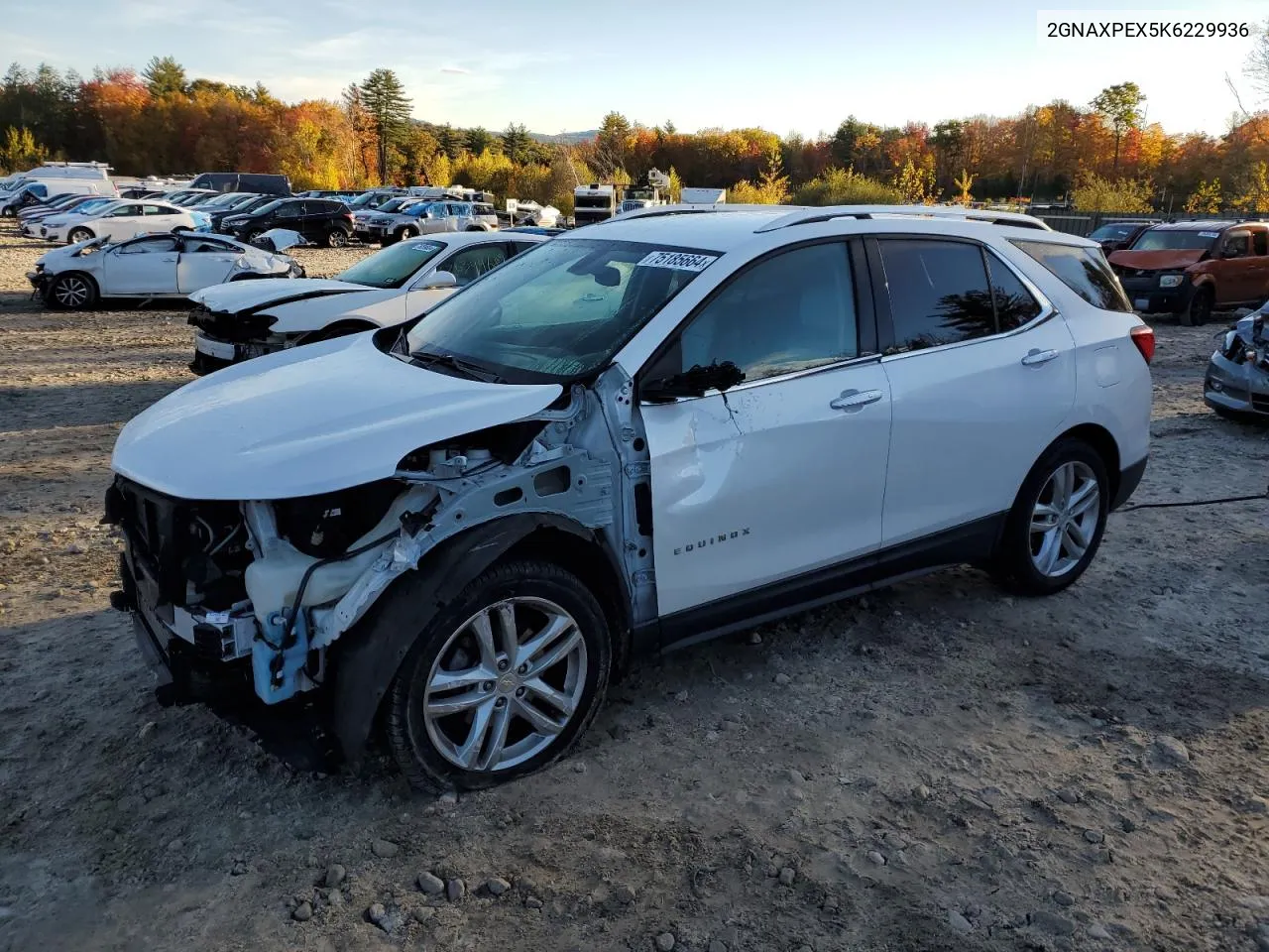 2019 Chevrolet Equinox Premier VIN: 2GNAXPEX5K6229936 Lot: 75185664