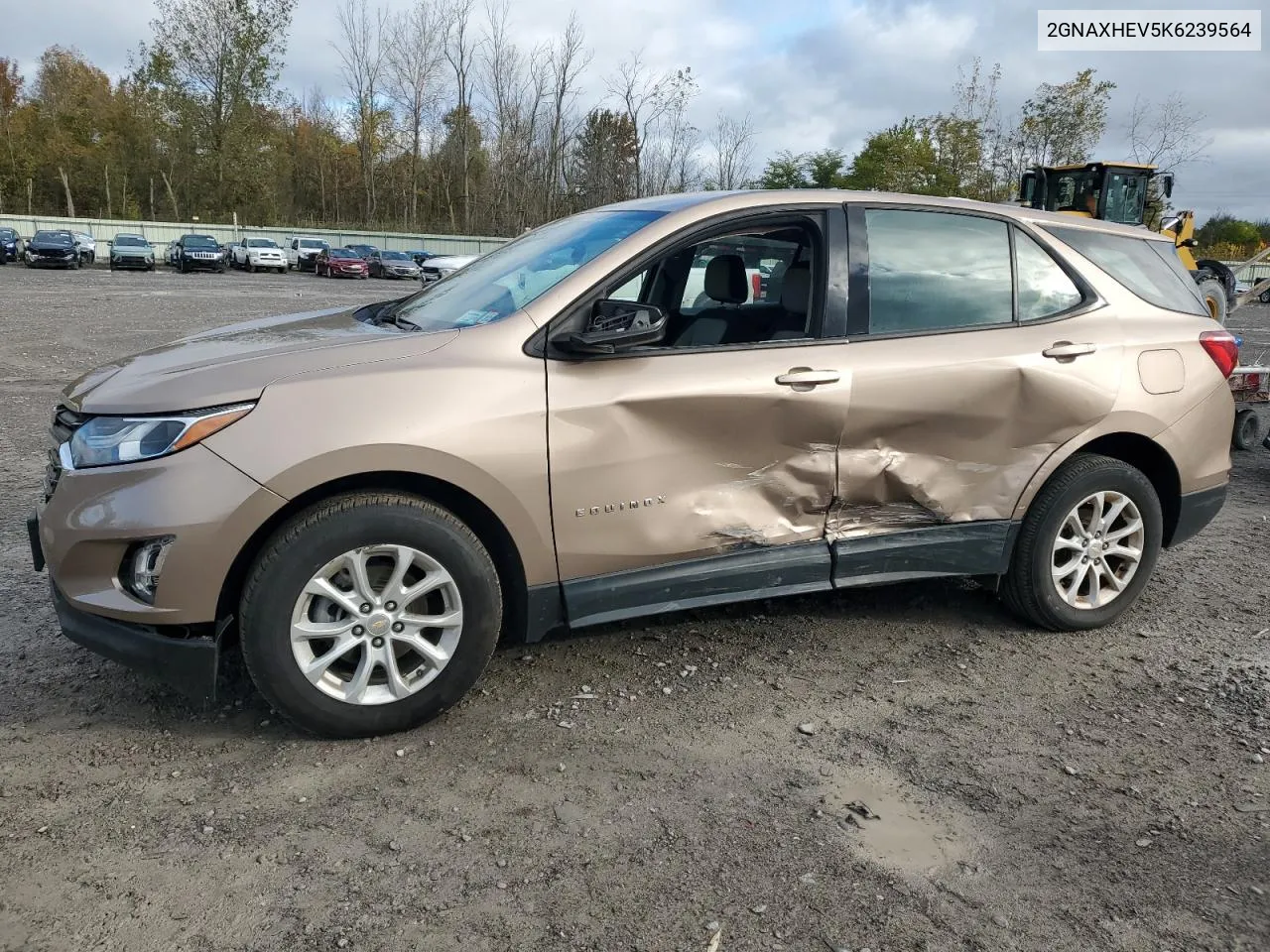 2019 Chevrolet Equinox Ls VIN: 2GNAXHEV5K6239564 Lot: 75739984