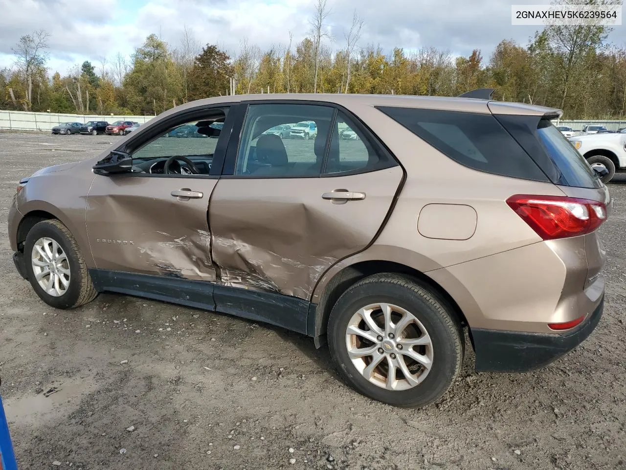 2019 Chevrolet Equinox Ls VIN: 2GNAXHEV5K6239564 Lot: 75739984