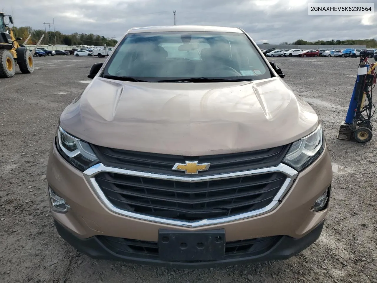 2019 Chevrolet Equinox Ls VIN: 2GNAXHEV5K6239564 Lot: 75739984