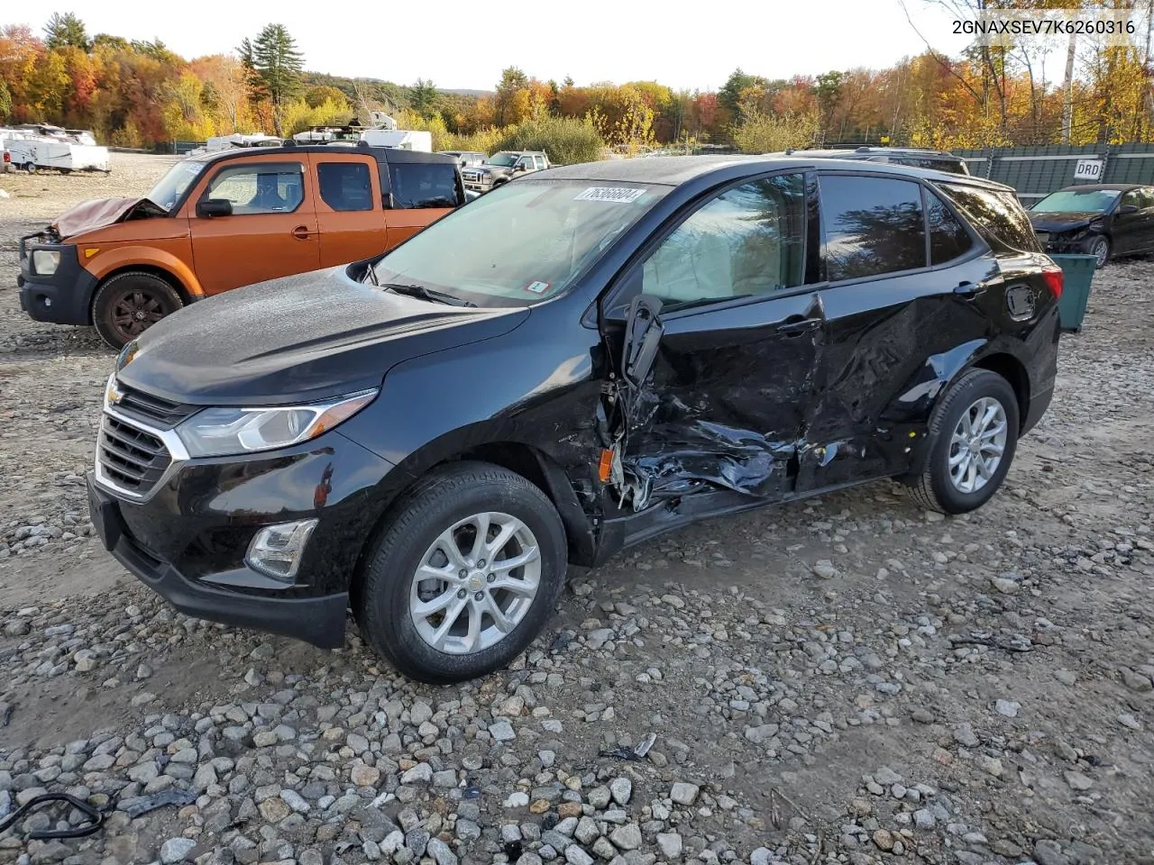 2019 Chevrolet Equinox Ls VIN: 2GNAXSEV7K6260316 Lot: 76366604