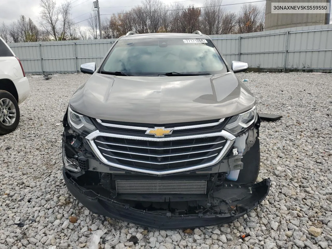 2019 Chevrolet Equinox Premier VIN: 3GNAXNEV5KS559550 Lot: 77171284