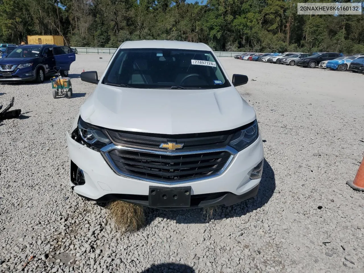 2019 Chevrolet Equinox Ls VIN: 2GNAXHEV8K6160132 Lot: 77497124