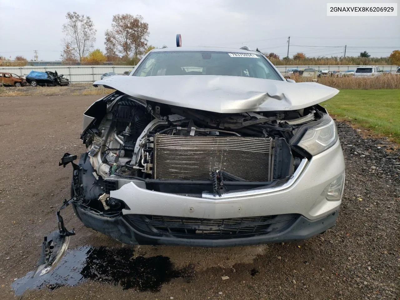 2019 Chevrolet Equinox Lt VIN: 2GNAXVEX8K6206929 Lot: 78375934