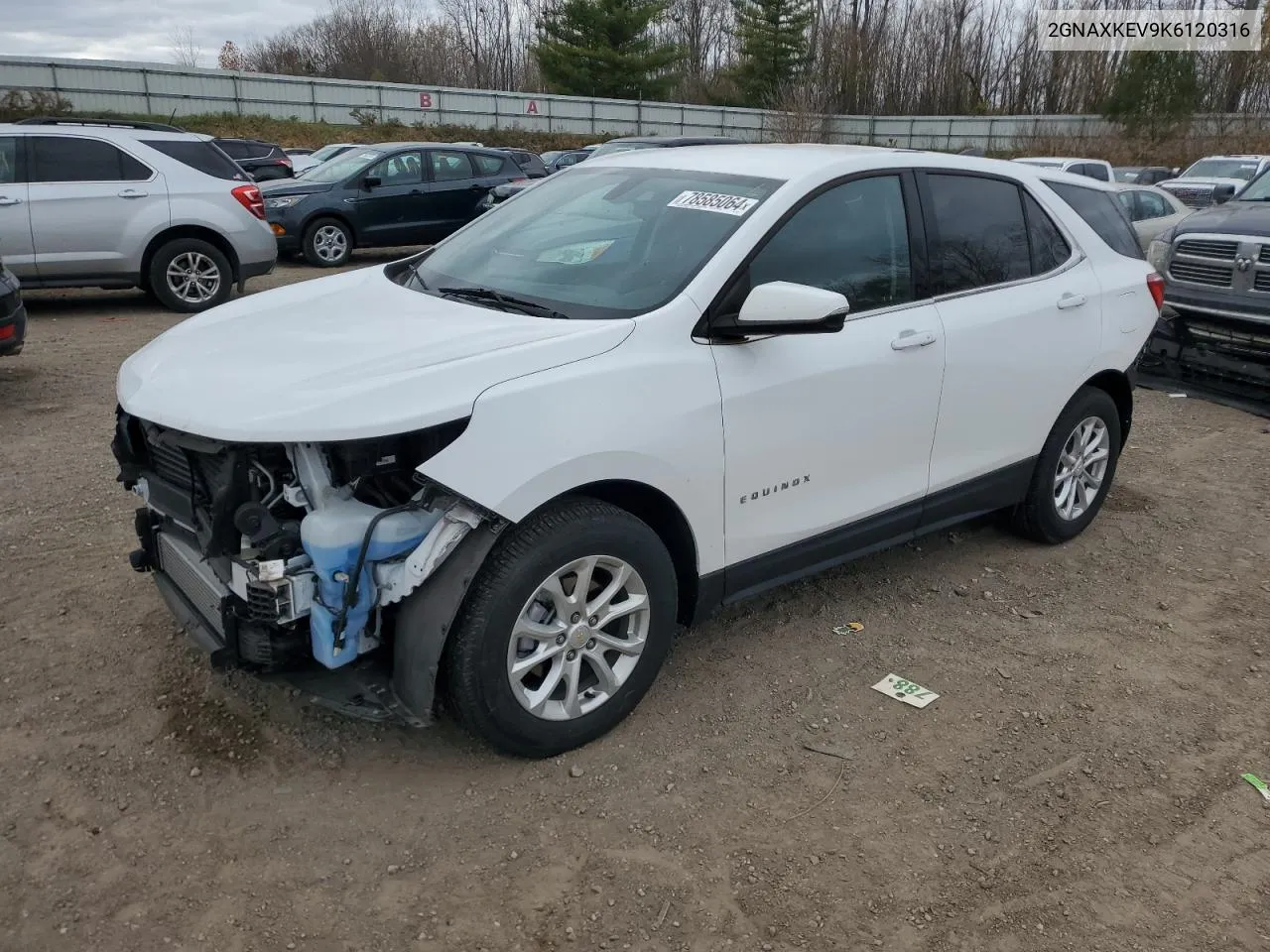 2019 Chevrolet Equinox Lt VIN: 2GNAXKEV9K6120316 Lot: 78585064