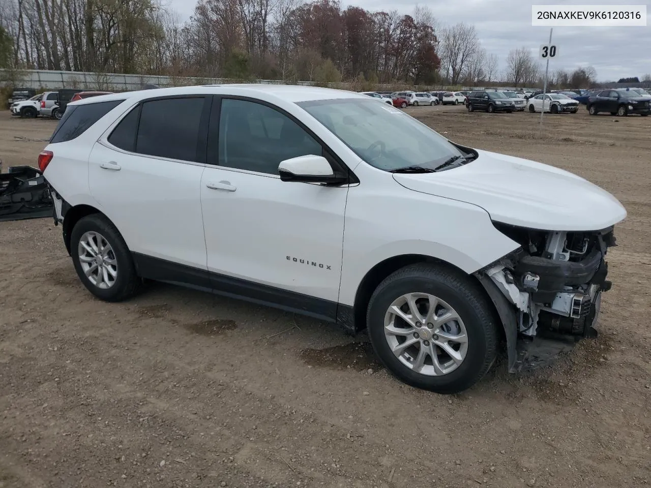 2019 Chevrolet Equinox Lt VIN: 2GNAXKEV9K6120316 Lot: 78585064