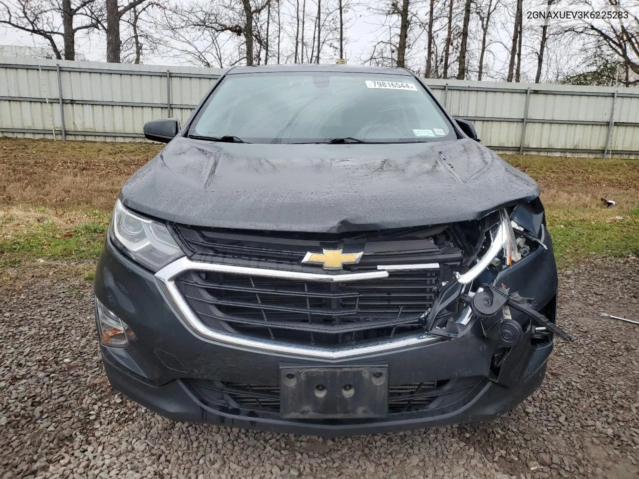 2019 Chevrolet Equinox Lt VIN: 2GNAXUEV3K6225283 Lot: 79816544