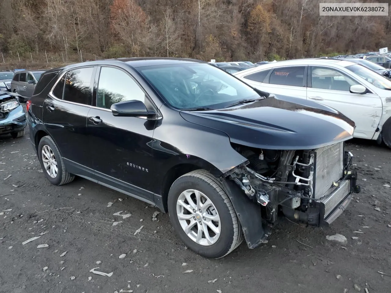 2019 Chevrolet Equinox Lt VIN: 2GNAXUEV0K6238072 Lot: 79988134