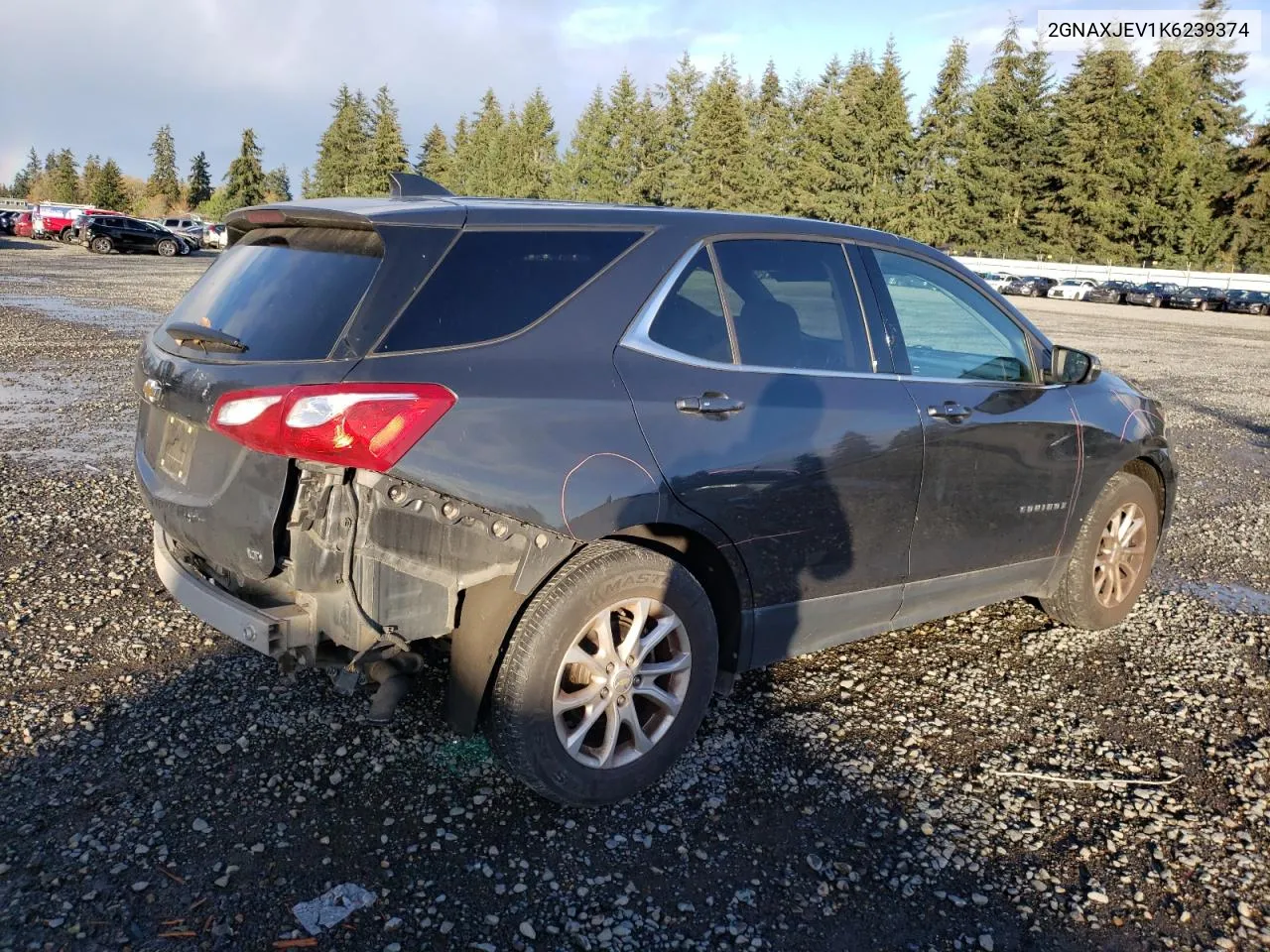 2019 Chevrolet Equinox Lt VIN: 2GNAXJEV1K6239374 Lot: 80340344