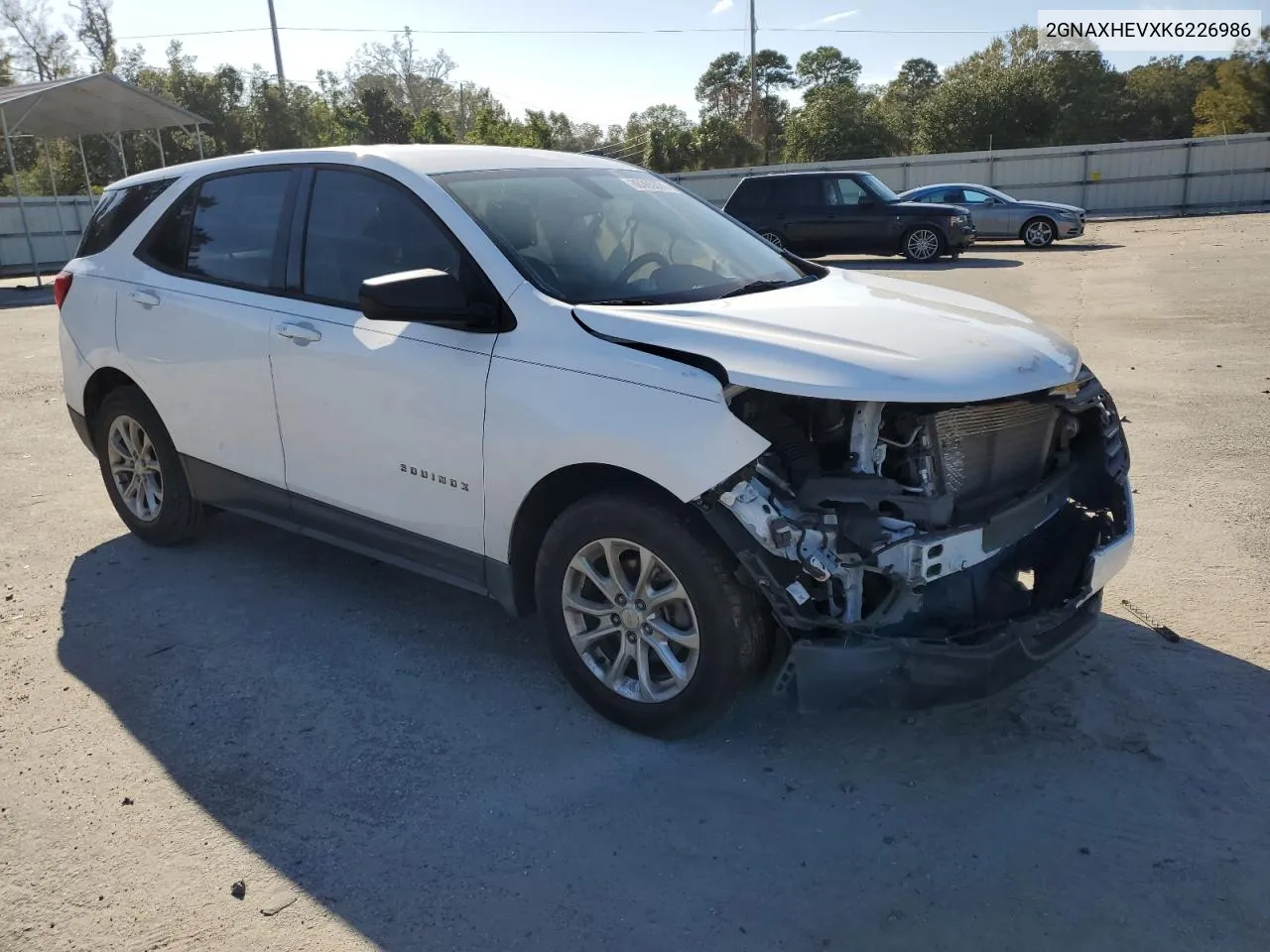 2019 Chevrolet Equinox Ls VIN: 2GNAXHEVXK6226986 Lot: 80365374