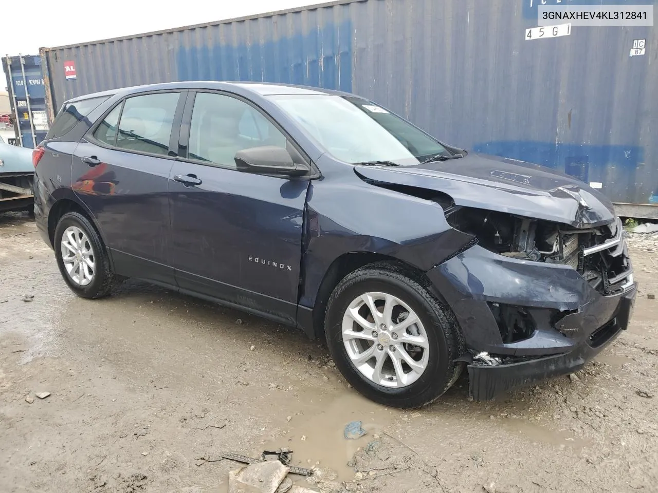 2019 Chevrolet Equinox Ls VIN: 3GNAXHEV4KL312841 Lot: 80446554