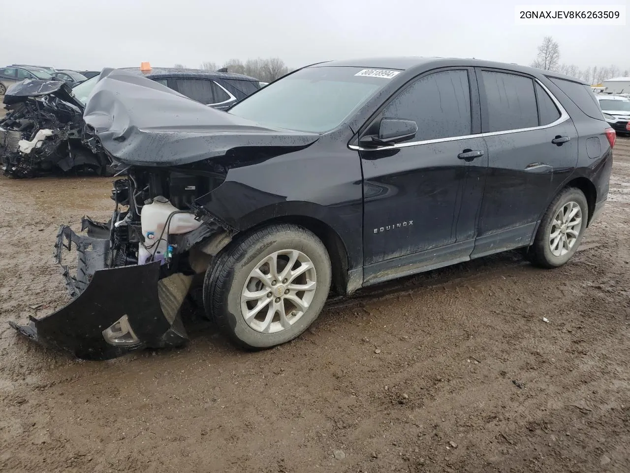 2019 Chevrolet Equinox Lt VIN: 2GNAXJEV8K6263509 Lot: 80618994