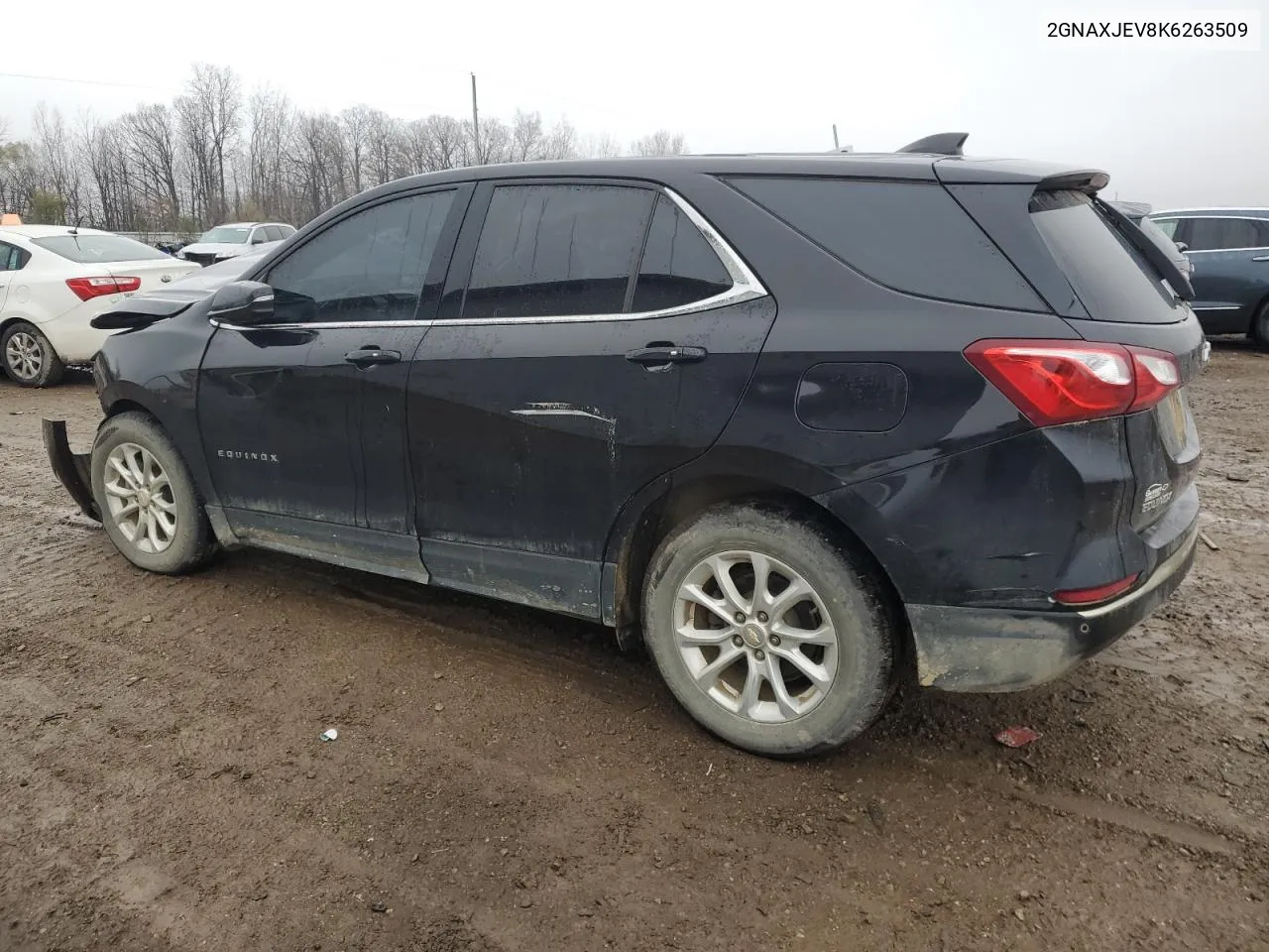 2019 Chevrolet Equinox Lt VIN: 2GNAXJEV8K6263509 Lot: 80618994