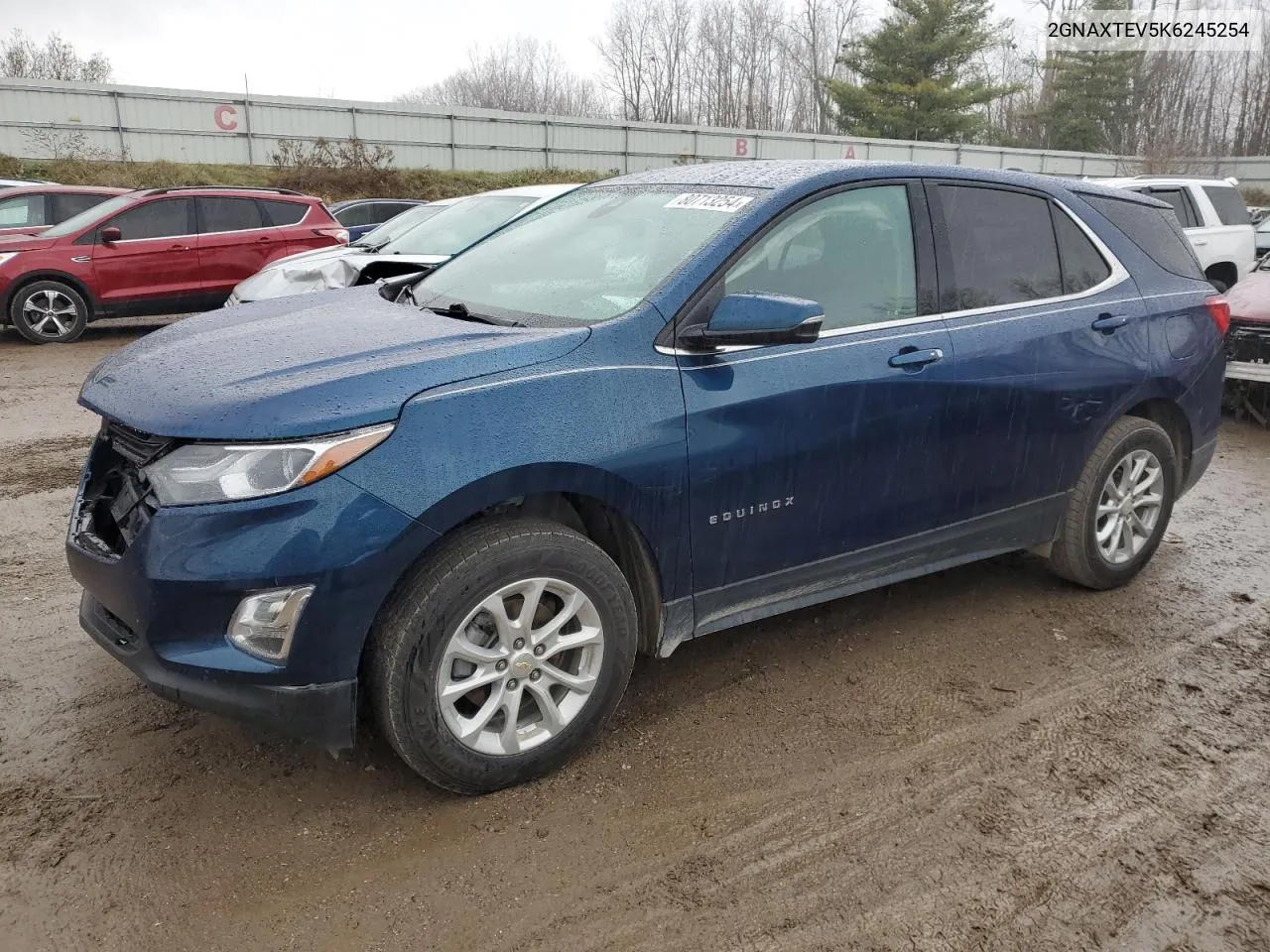 2019 Chevrolet Equinox Lt VIN: 2GNAXTEV5K6245254 Lot: 80713254