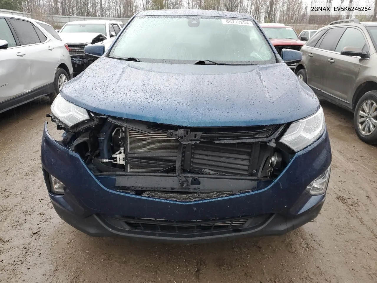 2019 Chevrolet Equinox Lt VIN: 2GNAXTEV5K6245254 Lot: 80713254