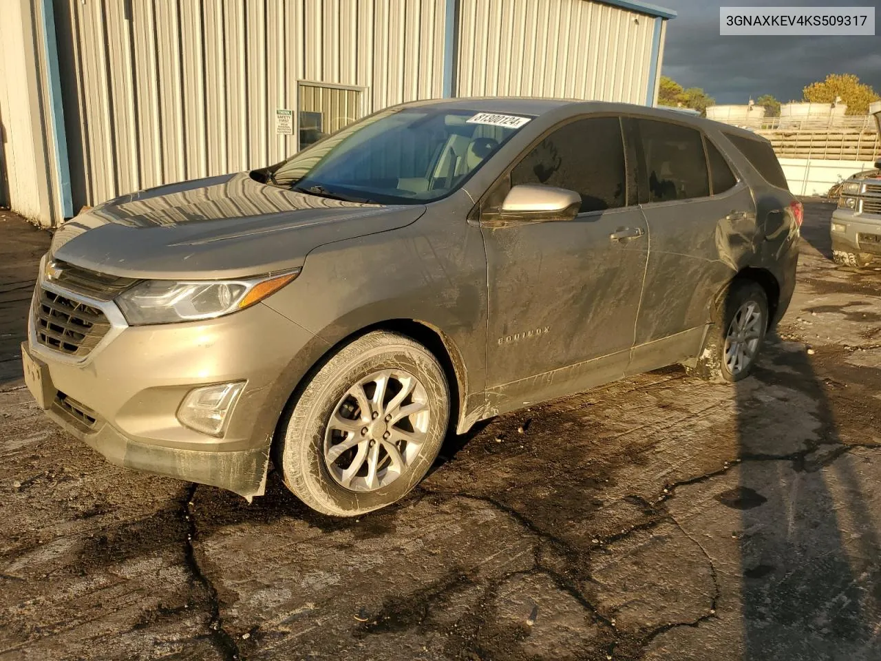 2019 Chevrolet Equinox Lt VIN: 3GNAXKEV4KS509317 Lot: 81300124