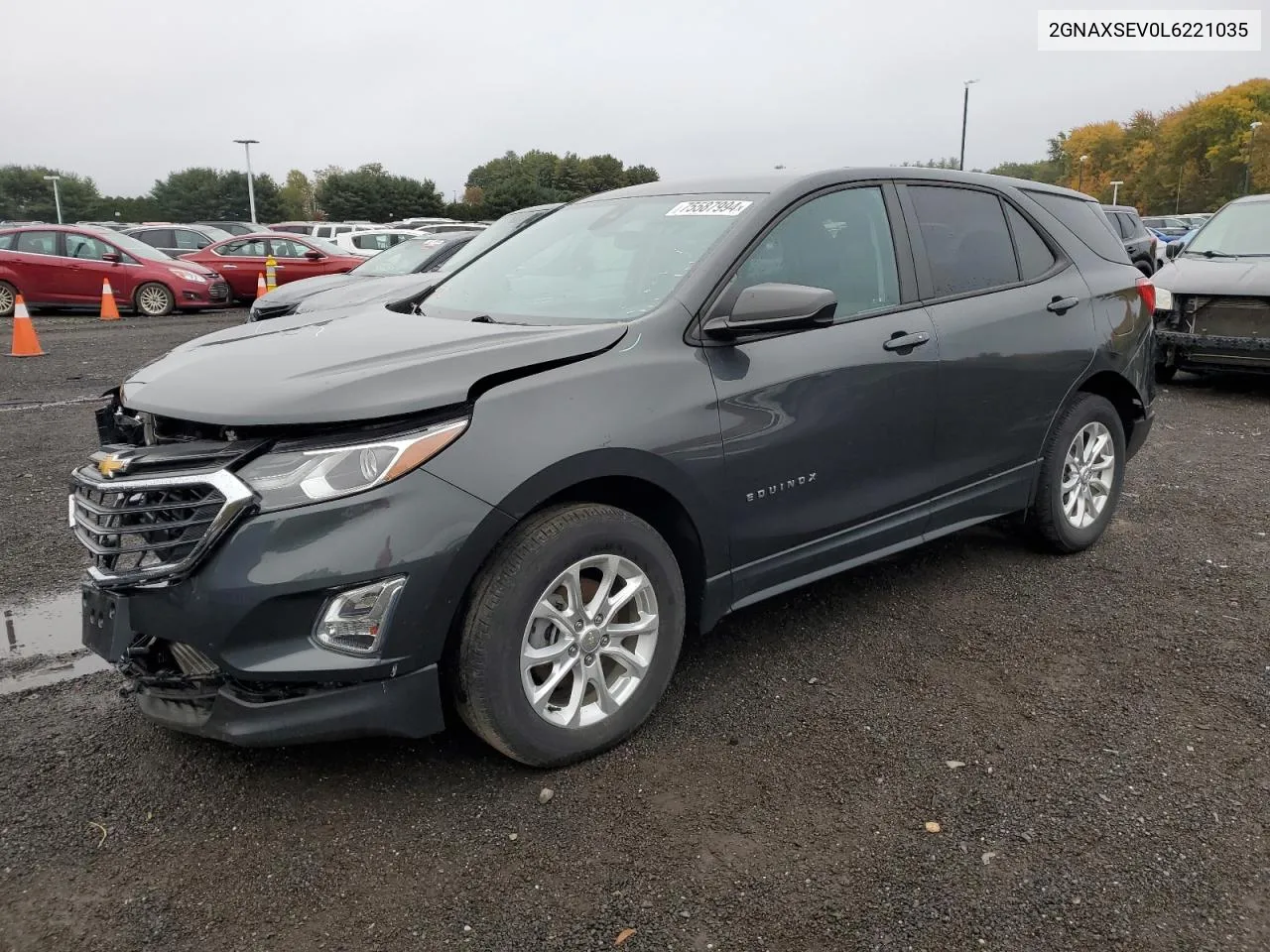 2020 Chevrolet Equinox Ls VIN: 2GNAXSEV0L6221035 Lot: 75587994