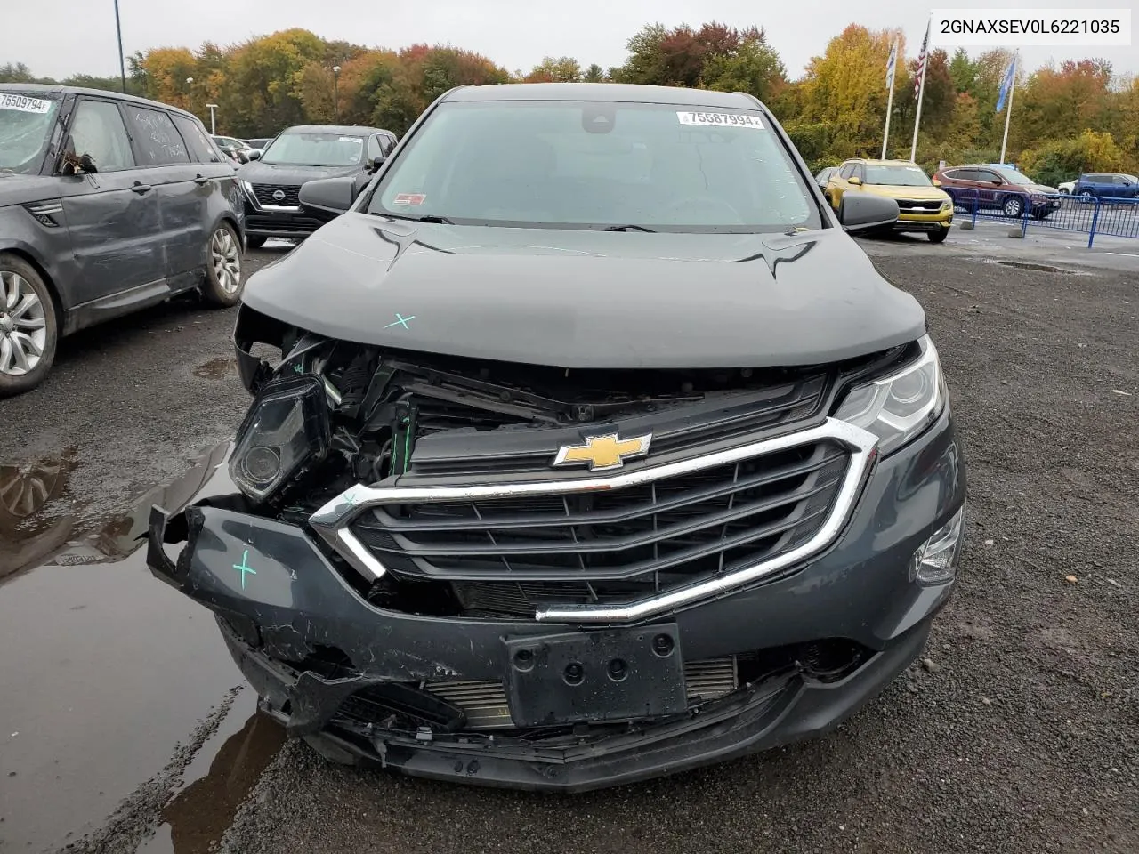 2020 Chevrolet Equinox Ls VIN: 2GNAXSEV0L6221035 Lot: 75587994