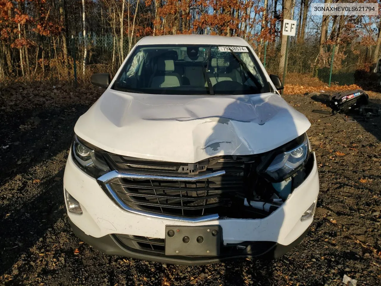 2020 Chevrolet Equinox Ls VIN: 3GNAXHEV0LS621794 Lot: 79338574