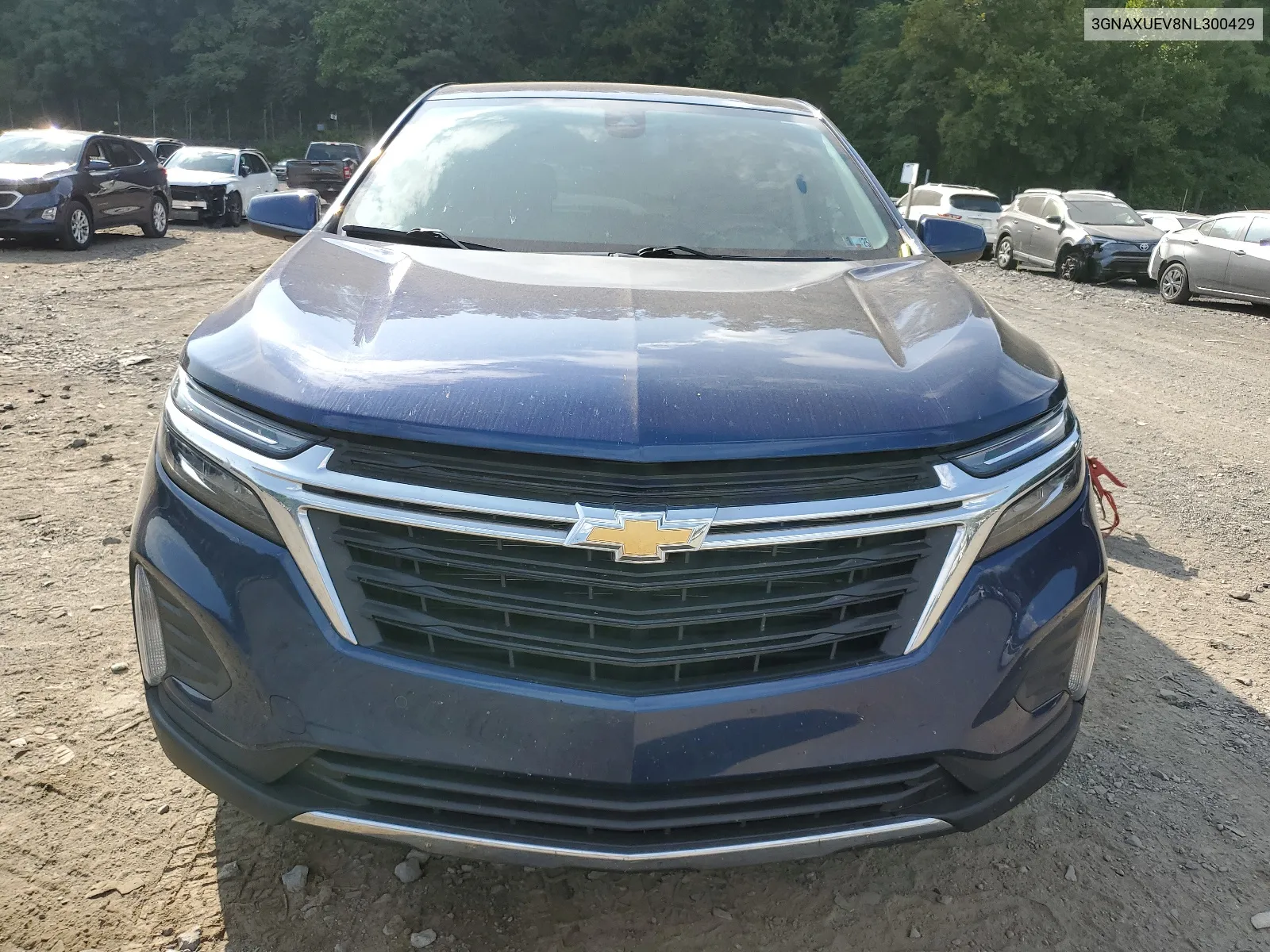 2022 Chevrolet Equinox Lt VIN: 3GNAXUEV8NL300429 Lot: 68246744